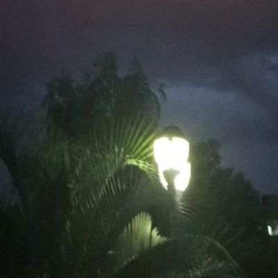 Garybol's profile picture. =Garybol┃they/them┃CN/ENG┃😻👉✝♥⬜🟥🇵🇱