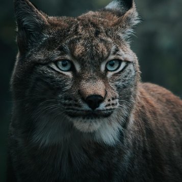 somratbom78910's profile picture. follow back💯💯💯