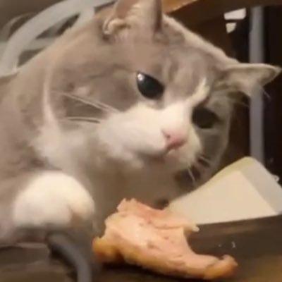 gR1M4jpEE584356's profile picture. 2013年からの大の阪神ファン🐯 サッカー日本代表とフランス代表も全力応援📣掛布岡田の同時解説は世界の誇り