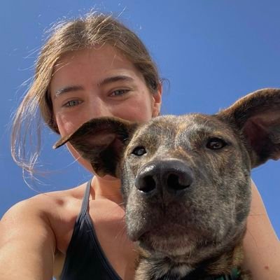 welcome to ZOO exploring mind blowing K9 contents