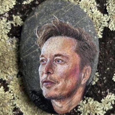 🌠🔋 Advancing humanity through innovation in rockets and electric cars with SpaceX and Tesla.
