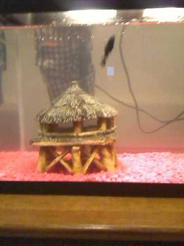 Drewbert41's profile picture. I love water!