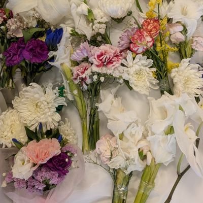 妻と死別しました。彼女は骨髄異形成症候群と間質性肺炎と闘いました。
同じ境遇の方と分かち合えたら幸いです。
いいねは共感、応援です。