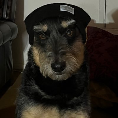 freeafternine's profile picture. photographer, musician, painter, travieso.