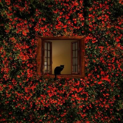 Adrian_Servian_'s profile picture. 𓆟𓆞𓆝𓆟𓆞𓆝𓆟𓆞𓆝