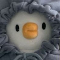 jinng00's profile picture. 