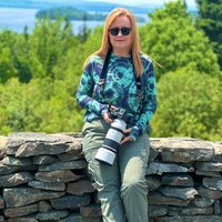 Rebecca Ogden (@rebeccawho) 's Twitter Profile