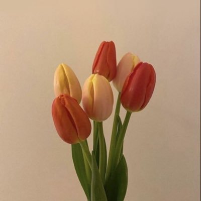 marusuke3939's profile picture. 楽天ルーム初心者🐣かわいいものや便利なものを紹介していきます！相互希望　25.09.13〜