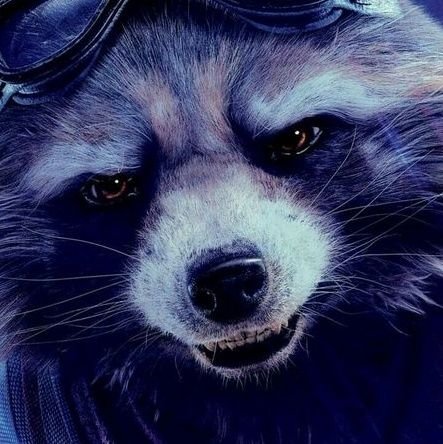 Myrtille231115's profile picture. 
