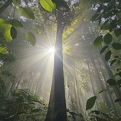 Iris_Smythfunc's profile picture. 愛しきものたちへ