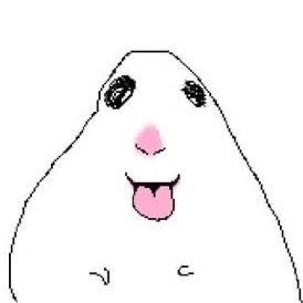 MurinNoxie's profile picture. 