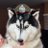 soriiz_sor's profile image