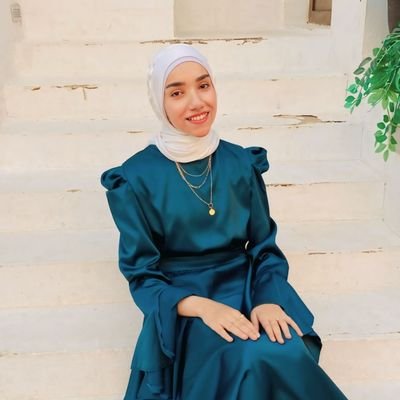 AlaaMo137's profile picture. 