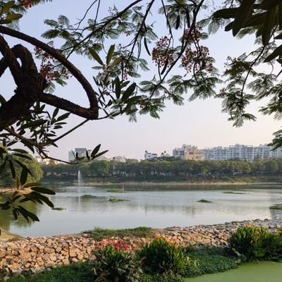 Between the lines of chaos and calm 🌸
ಹಗಲು ಹಸಿರು, ರಾತ್ರಿ ನಕ್ಷತ್ರ
