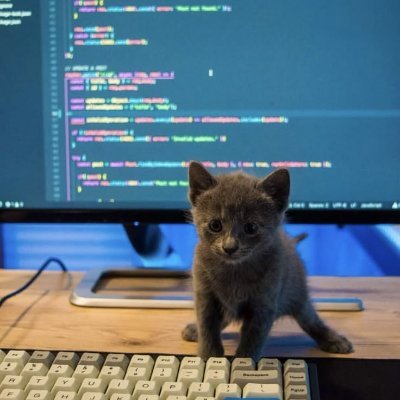 Jayish_S's profile picture. 