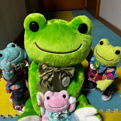 初ピクは2007クローバーちゃん 行方不明だったポーくんも帰ってきました 😊 ポー&ぶくの仲良し兄弟の癒しの日々 アイドル目指しているさくらも頑張ってます🌸#クラブポージングピクルス