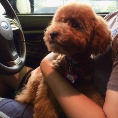 robertrobert31's profile picture.