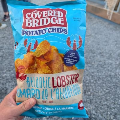 MohanAjil's profile picture. admirer| Googler | My views are my own