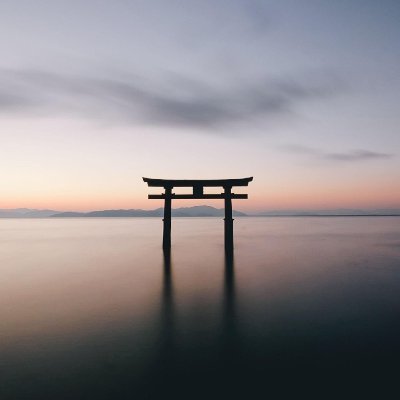 Bespoke1981's profile picture. 