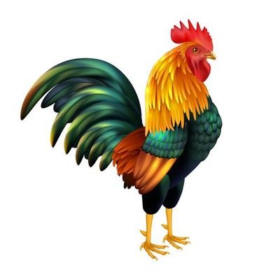 Rate my rooster is a safe place for men to upload their 🐓. I will give an honest rating from 1-10 along with an honest assessment! All 🍆 are welcum! 18+ only