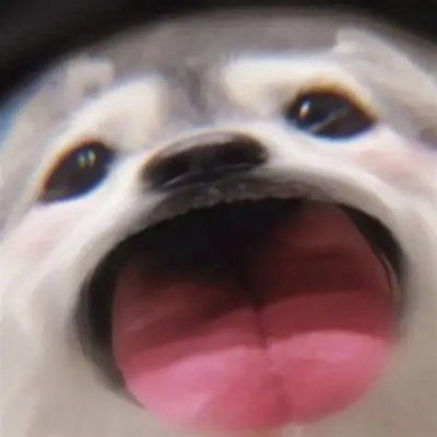 lihaoran0424's profile picture. 啦啦啦啦啦啦