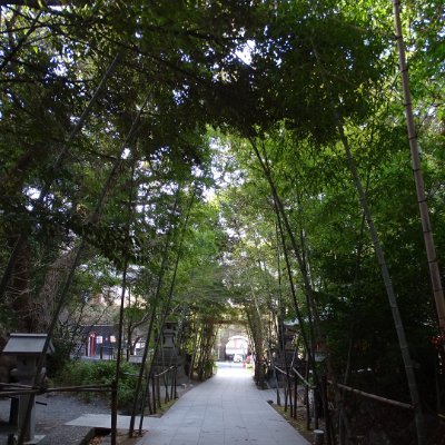 uXmNYaNgV5BXIjw's profile picture. ヴェルディ/西武/乗り鉄