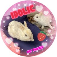 おつう🪞🎄🪽✨ (@ug1la) 's Twitter Profile Photo