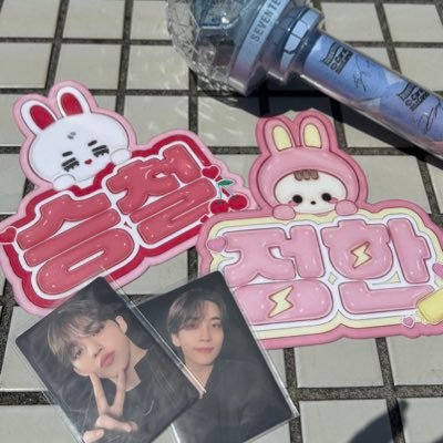 pocopoco_1995's profile picture. SEVENTEEN 🍒👼🏻𓈒𓂂𓏸♡