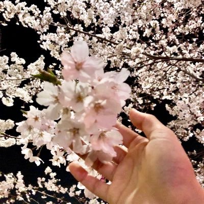 y__will's profile picture. 