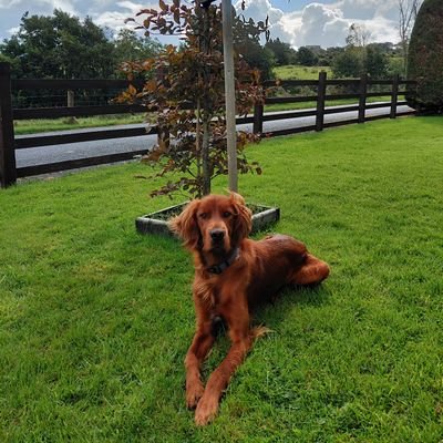 Emilycrerand25's profile picture. 