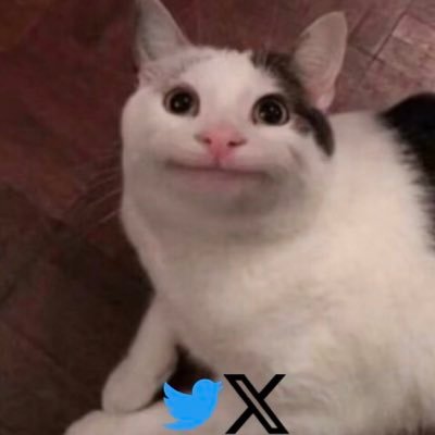 H_FangKuai1145's profile picture. 這裡是方塊的官方Twitter！影片移步https://t.co/N3LEoV46tx 哦！堅持為每個人帶來快樂！@HongName26795 ❤點個跟隨，獲取我的Tweet，有能力可以訂閱哦！❤