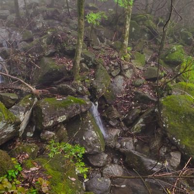 laoyuxihuan's profile picture. smdoubuzd