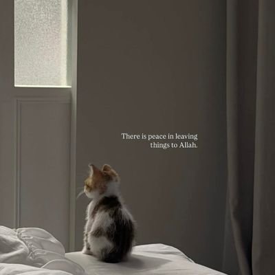 zainab_folash's profile picture. Politics and governance ll Muslim ll student ll UI.