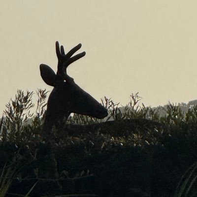 rawspeedbk's profile picture. 