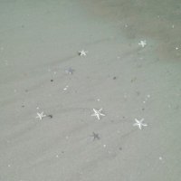 🐈☆ (@huh___fim) 's Twitter Profile