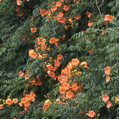 hyeoni364260873's profile picture. 