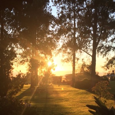 flamedhand's profile picture. 