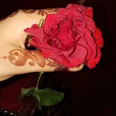 🌸 ماحین 🌸 Profile