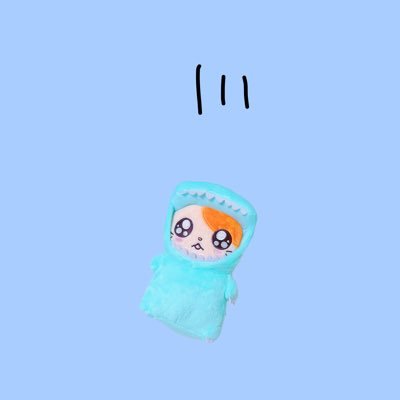 ntm_simr's profile picture. 火アリの話をするだけのロコちゃんのハムスター｜成人済