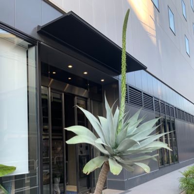 69smmn's profile picture. 競馬とネコと♨️と園芸