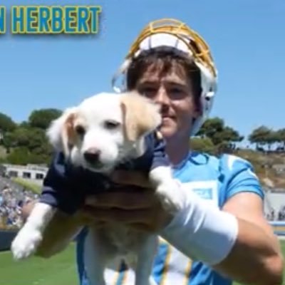 chargersfan563's profile picture. i’m too swift with it even in brazil