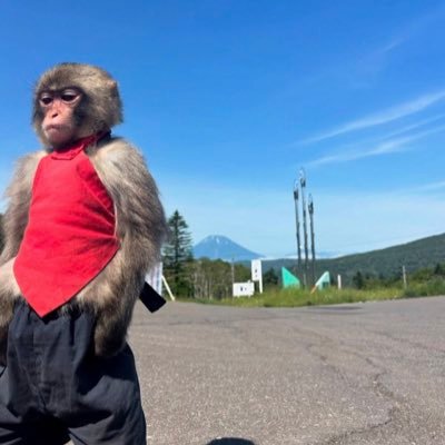 shahloba's profile picture. 