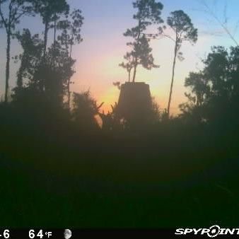 Hunter, fisherman ,Feral Hog and Coyote Eradication Thermal hunts.