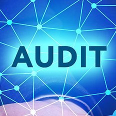 sh3Auditor's profile picture. 