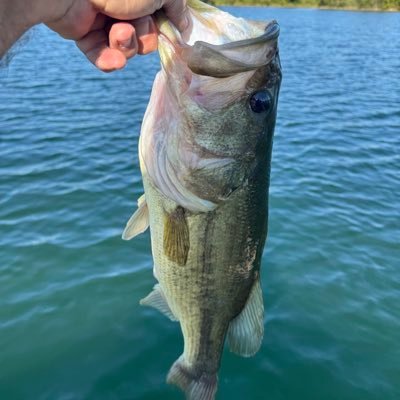 Louisville Cardinals & Bass Fishing