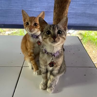 aipitttttt's profile picture. next stop : perth ✍️