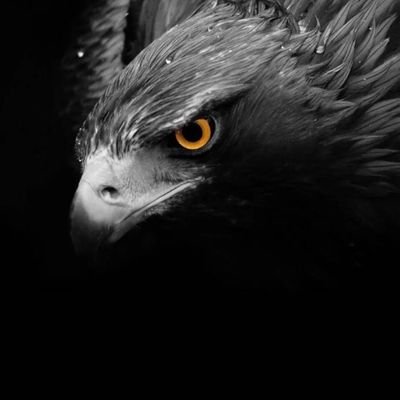 iiiR997's profile picture. 