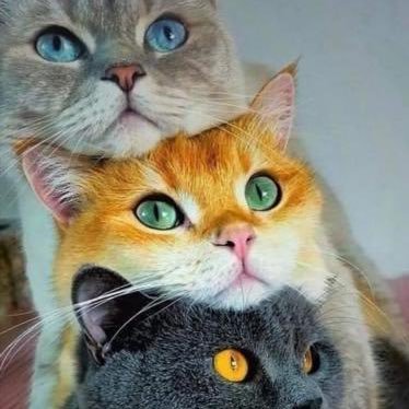 wmdv1722's profile picture. 