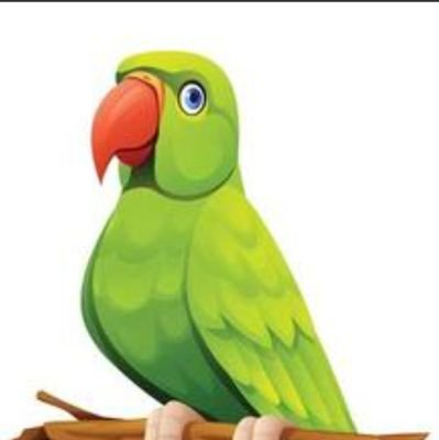 RabinRabinbrt's profile picture. Intertain