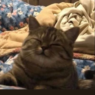 minoe04's profile picture. 